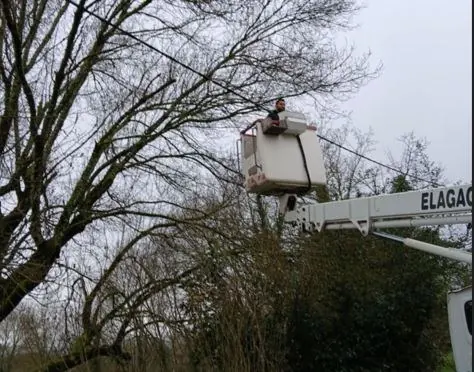 Élagueur en nacelle en train d'élaguer un arbre en Ardèche