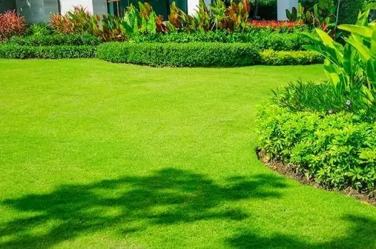 Jardin entretenu avec pelouse tondue et massifs taillés