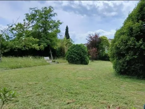 Après : tonte d'une pelouse envahie par les herbes hautes