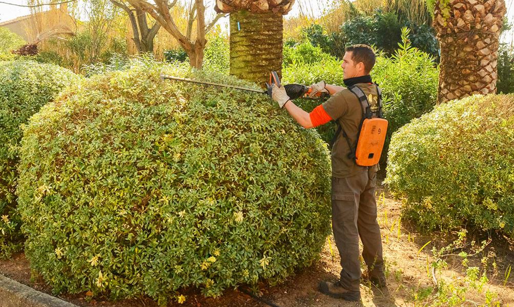 taille d'arbuste autour de moi , joyeuse, vallon pont d'arc, aubenas, ruoms, grospierres et alentours