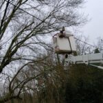 elagage en sud ardeche, grouspierres, labaume, ruoms, vallon pont d'arc, joyeuse, aubenas, autour de moi, alentours