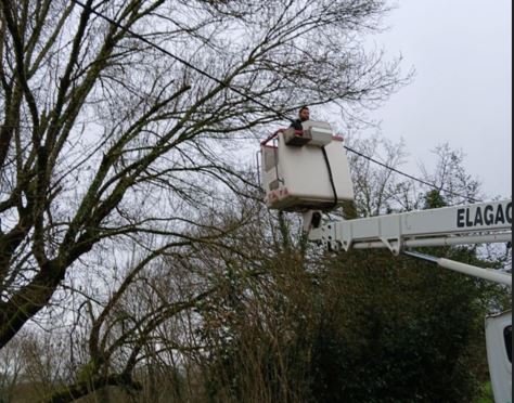 elagage en sud ardeche, grouspierres, labaume, ruoms, vallon pont d'arc, joyeuse, aubenas, autour de moi, alentours