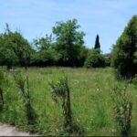 entretien de jardin en sud Ardèche, grospierres, vallon pont d'arc, ruoms, joyeuse, labaume, autour de moi