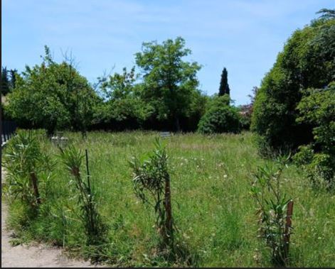 entretien de jardin en sud Ardèche, grospierres, vallon pont d'arc, ruoms, joyeuse, labaume, autour de moi